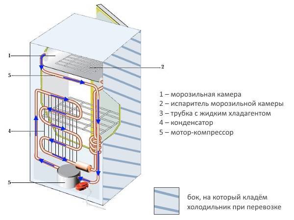 Через сколько можно включать холодильник после транспортировки, почему нельзя включать сразу