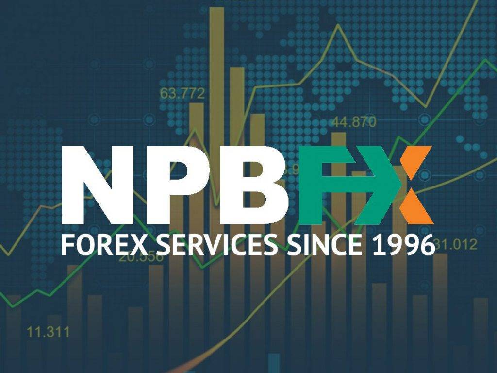 Npbfx брокер: обзор компании